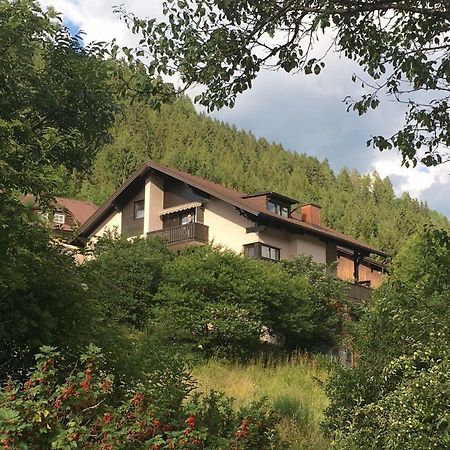 Haus Agnes, Murau Bagian luar foto