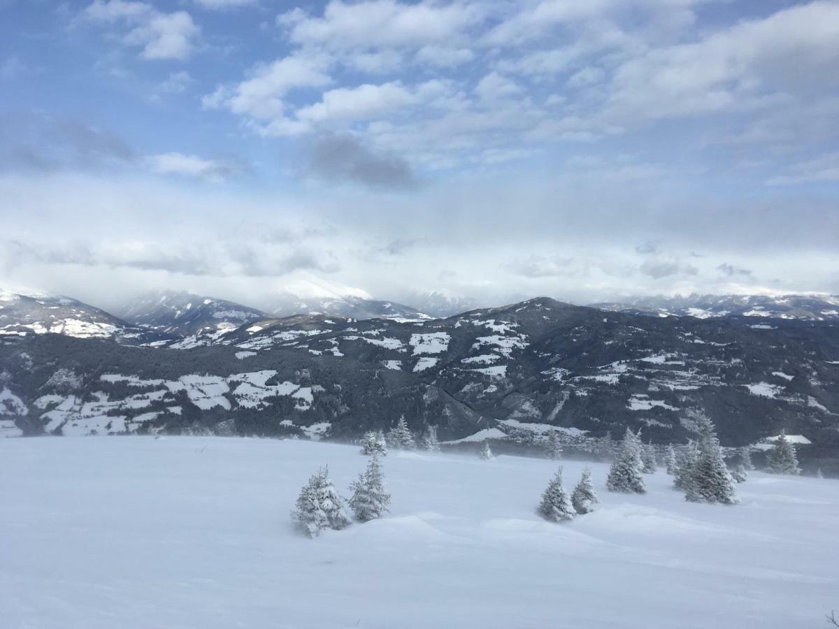 Haus Agnes, Murau Bagian luar foto